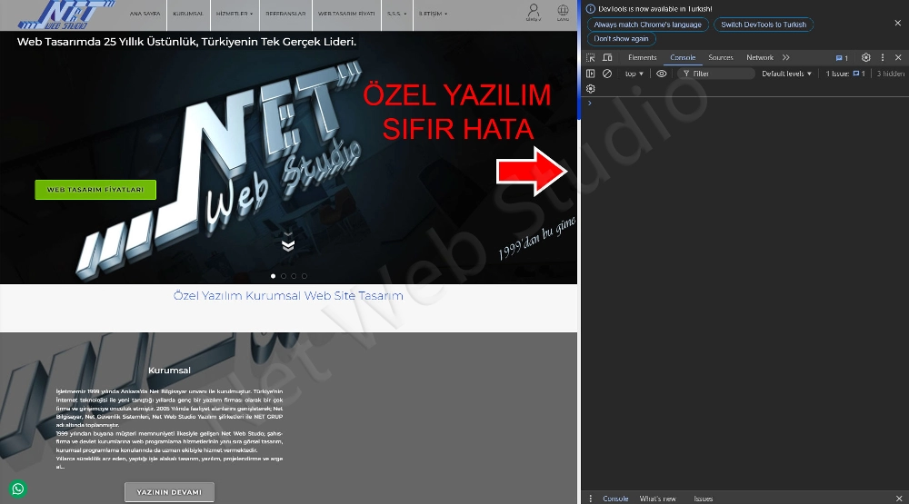 Özel Tasarım Ve Şablon Site Karşılaştırması